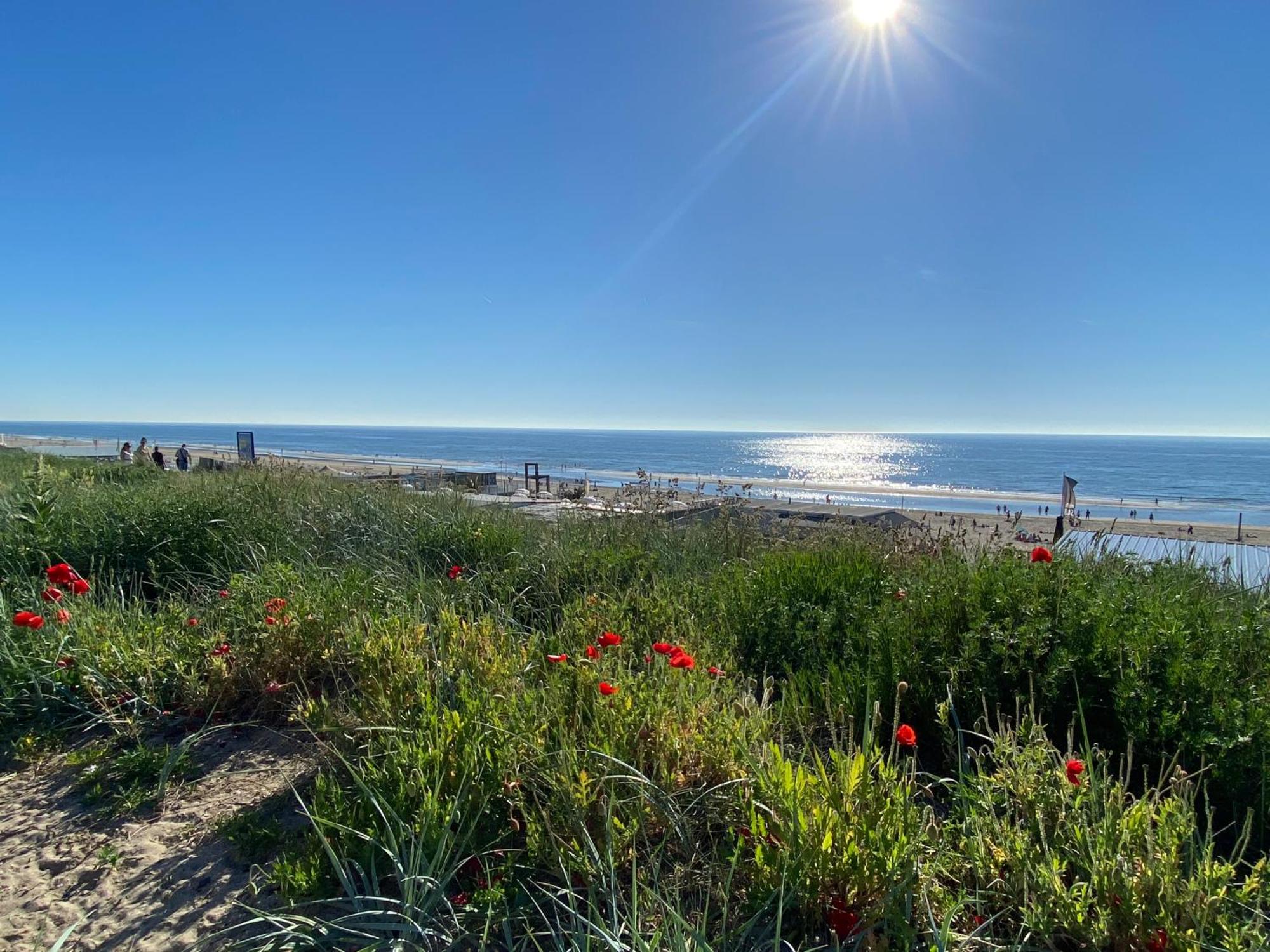 Maison Rue De La Mer Zandvoort Bagian luar foto
